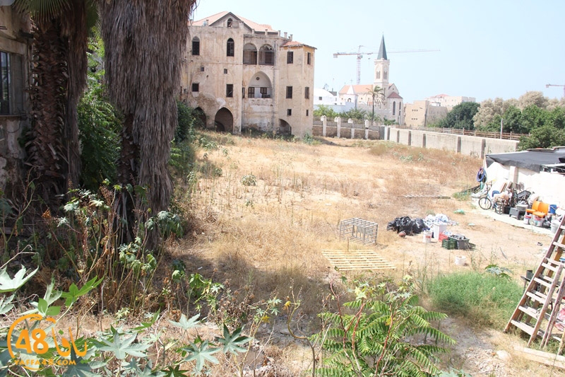 wafd 3erqtnjy (11).JPG